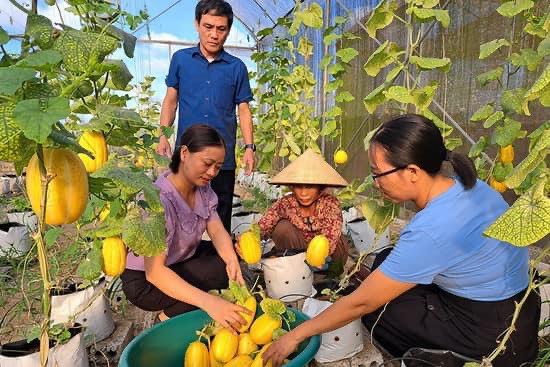 Sản phẩm nông nghiệp sạch của HTX An Tâm Farm xã Xuân Hải